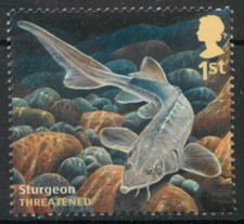 Sturgeon Acipenseridae fish GB 2014 MNH mint stamp D082