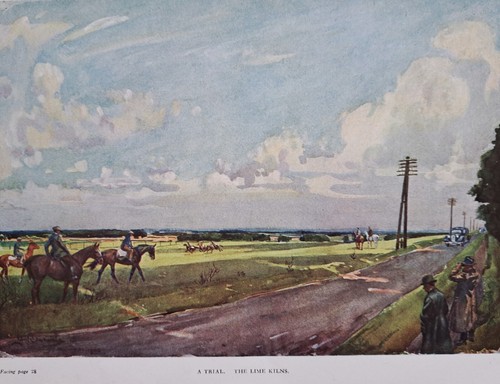 1945 vintage print - print., lime