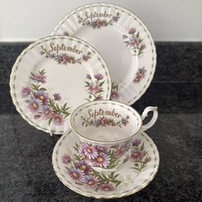 royal albert flower of the month September Daisy Trio set  & salad plate 
