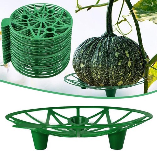 10x melon cradle - melon, fruits