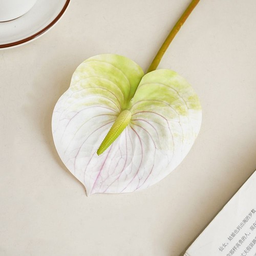 Bridal diy elegant anthurium - diy,