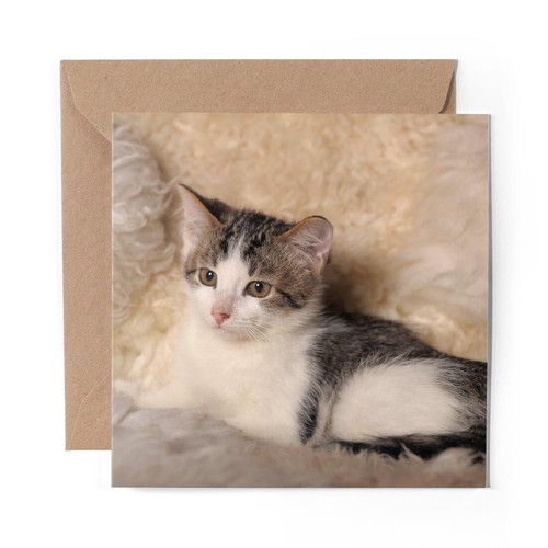 Blank greeting card - 1, white