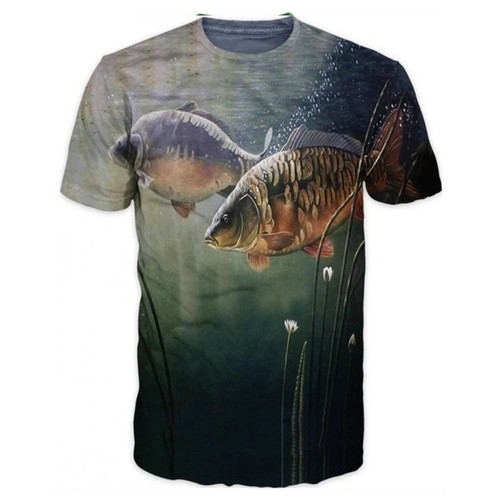 Beautiful mirror carp - , summer