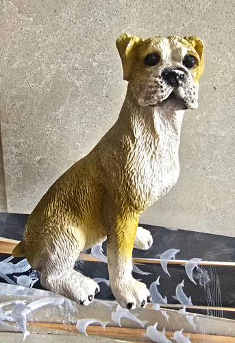 Vintage boxer dog - vintage,