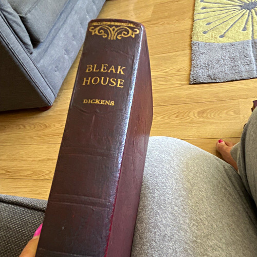Bleak house charles dickens - bleak,