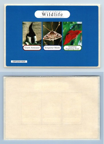 Discovering wildlife the - discovering,