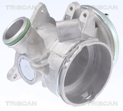 Triscan egr valve - for, mercedes