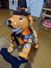 Aibo Halloween Costume Cape