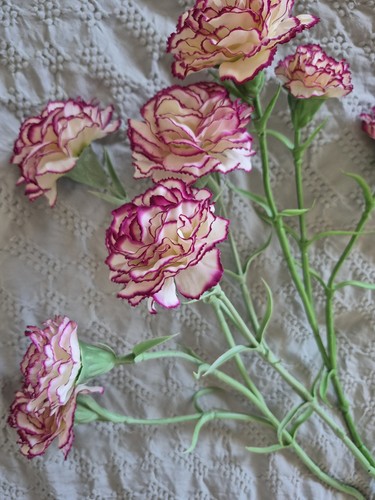 Long stem artificial - 3,