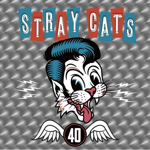 Stray cats - stray,