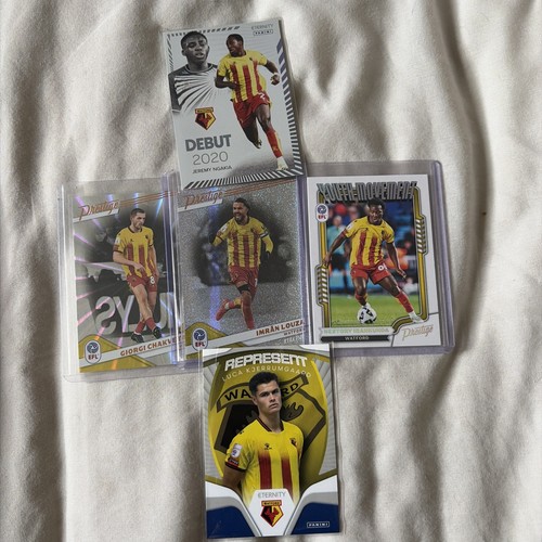 Efl panini watford card - efl,