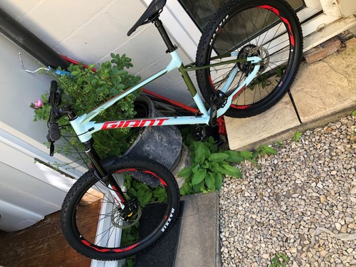 Giant fathom 2019 - fathom,