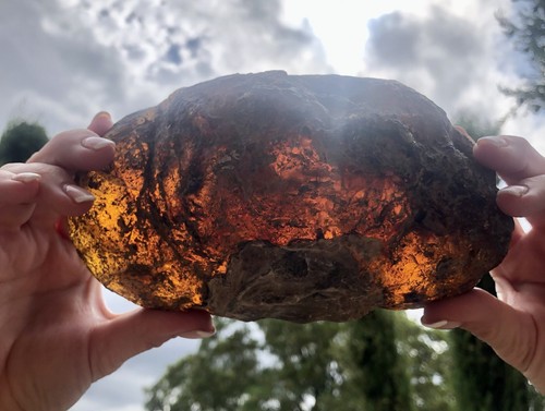 517g chiapas amber boulder - 517g,