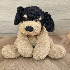 Cuddles Time Max The Cockerpoo