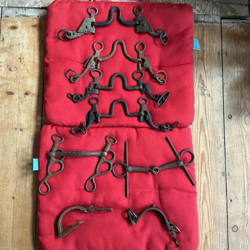 Vintage horse tack - vintage,