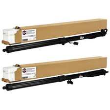 2x Tailgate Powerlift Rear Set