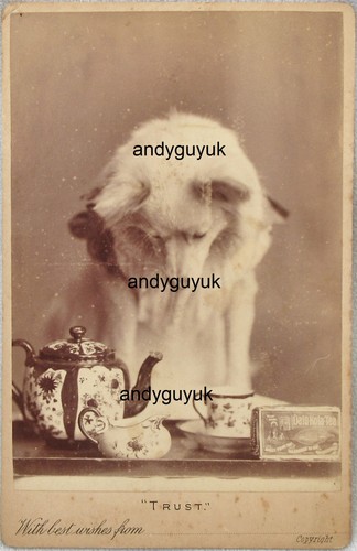 Cabinet card rare - cabinet,