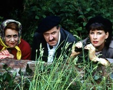 Kirsten Cooke  Allo Allo 10" x