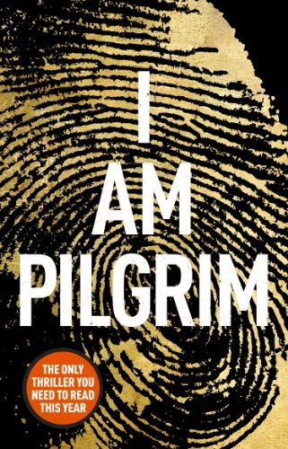 Pilgrim terry hayes - i, am