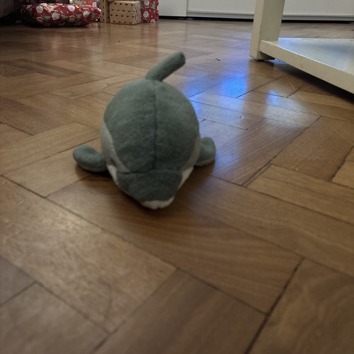 Dolphin soft toy - cute, cuddly