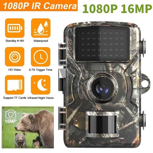1080p trail camera 16mp - 1080p,
