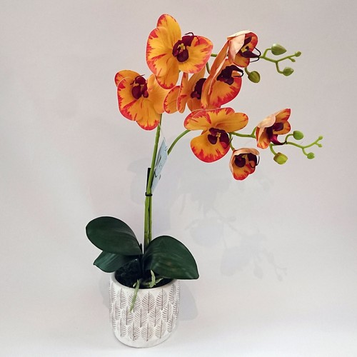Artificial orchid plants - plants, in