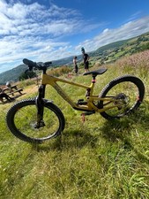 Pay dirt gold santa cruz