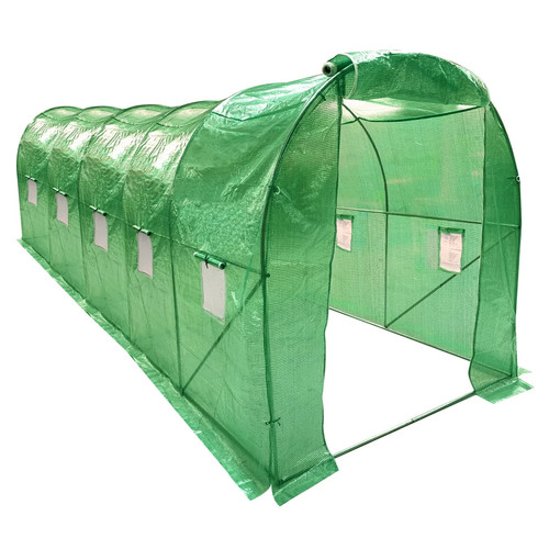Wolf walk polytunnel - wolf,