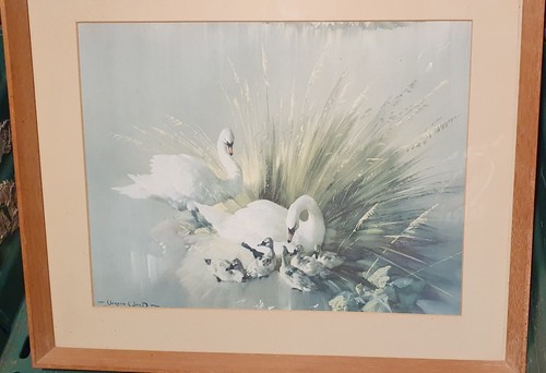 Vintage vernon ward print in - vernon,