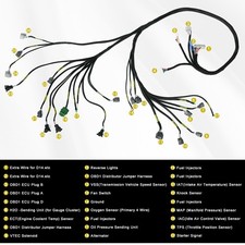 OBD1 Budget D/B-series Tucked