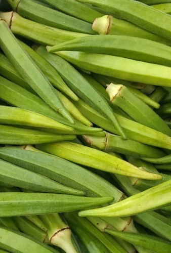 Fresh okro - fresh,