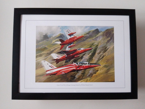 Aircraft print gnat s - aircraft,