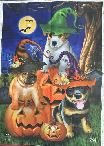 Spooky pups frenchie jack - pups,