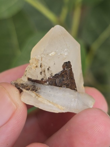 Brookite quartz - brookite,
