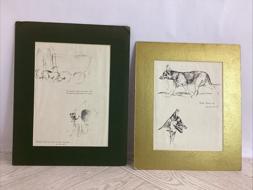 Just dog sketches mounted - dog, 2