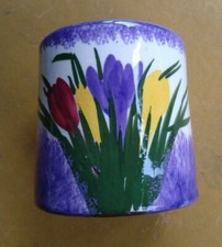 Torquay ware longpark crocus - ware,