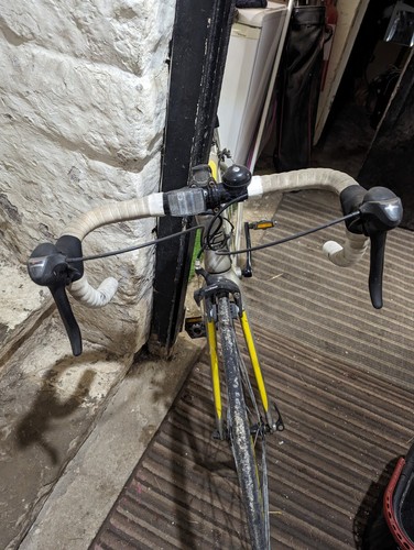 Carrera road bike