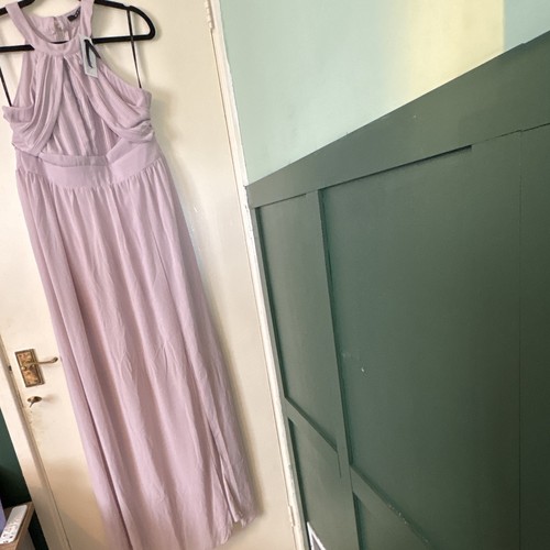 Tfnc london mink pleated maxi - london,