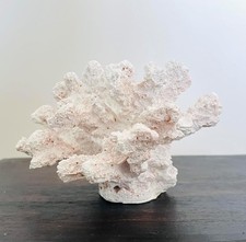 Artificial Coral Aquarium