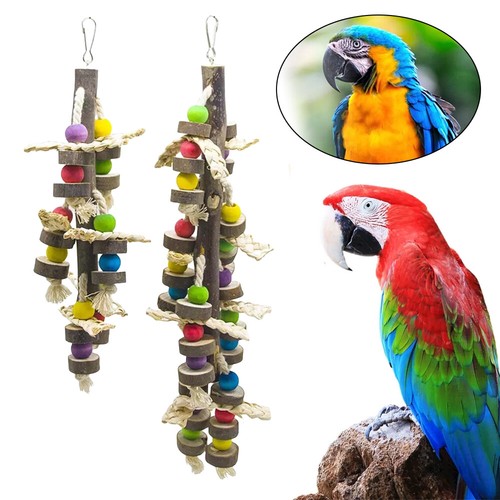 Durable giant parrot - durable, swing