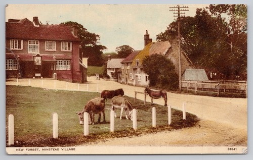 Minstead village new - village, forest