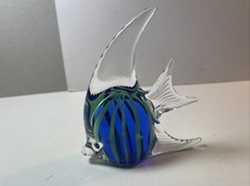 Laguna Glass Fish