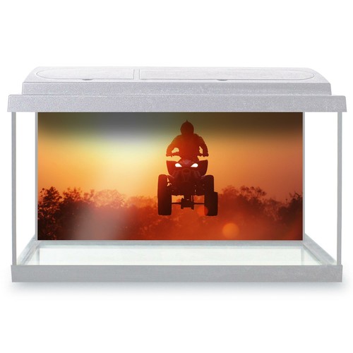 Fish tank background 90x45cm - fish,