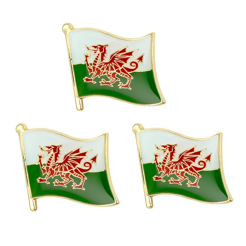 Wales flag badge pin - x,