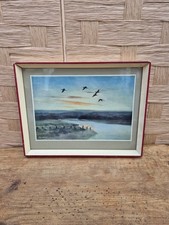 Framed Vintage Peter Scott