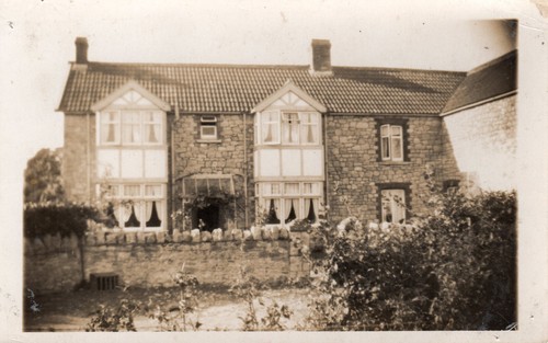 Chestnut farm yatton - -,