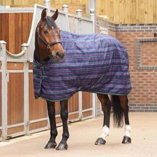 Shires Tempest Plus 100g