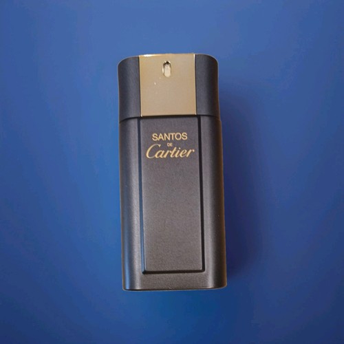 Cartier santos - de,