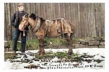 ptc1614 - West Stanley