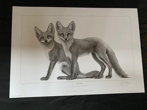 Gary hodges signed limited - gary,